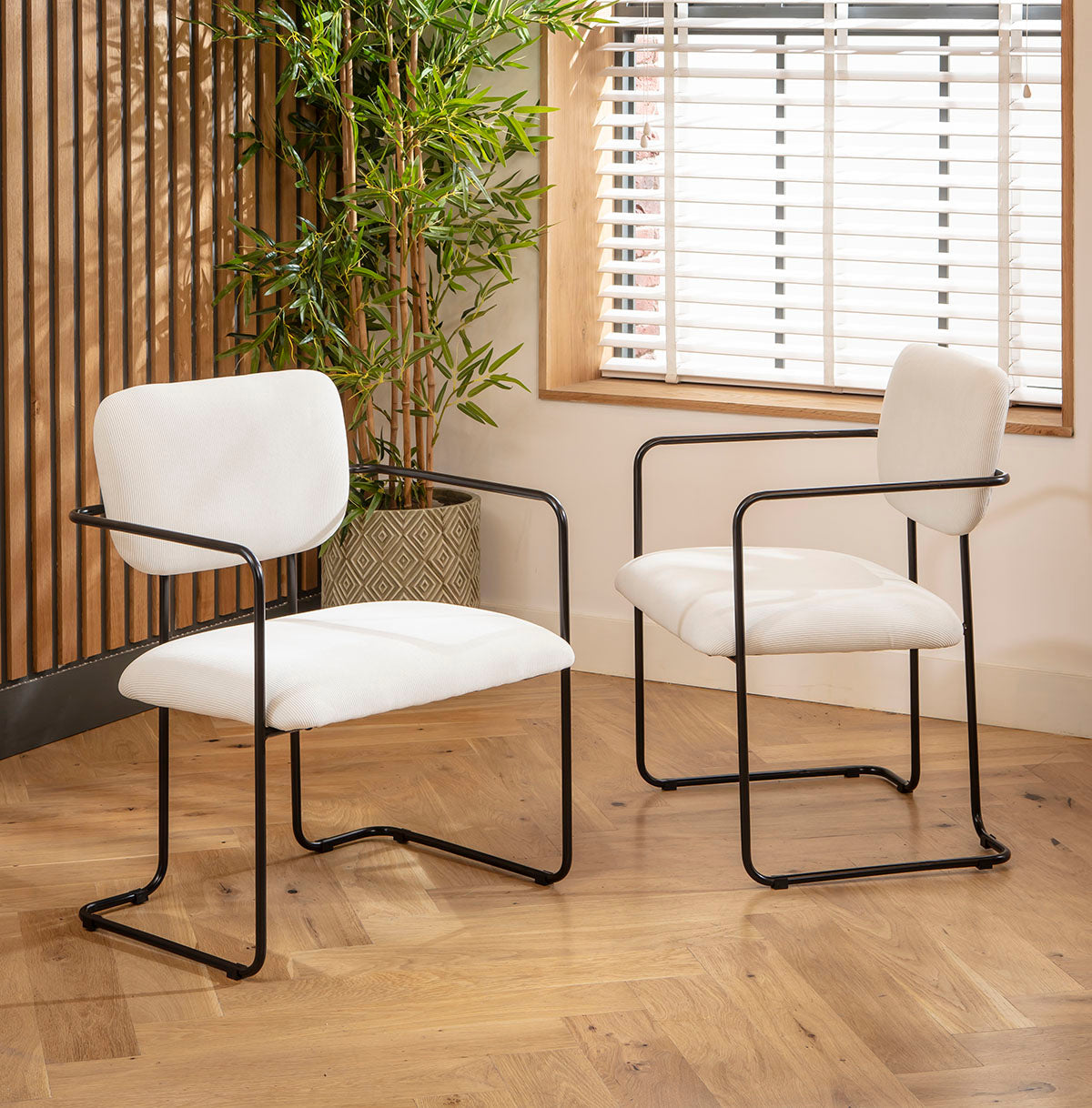 Sasha Cord Fabric Carver Dining Chair Cream dining chair Such Comfort