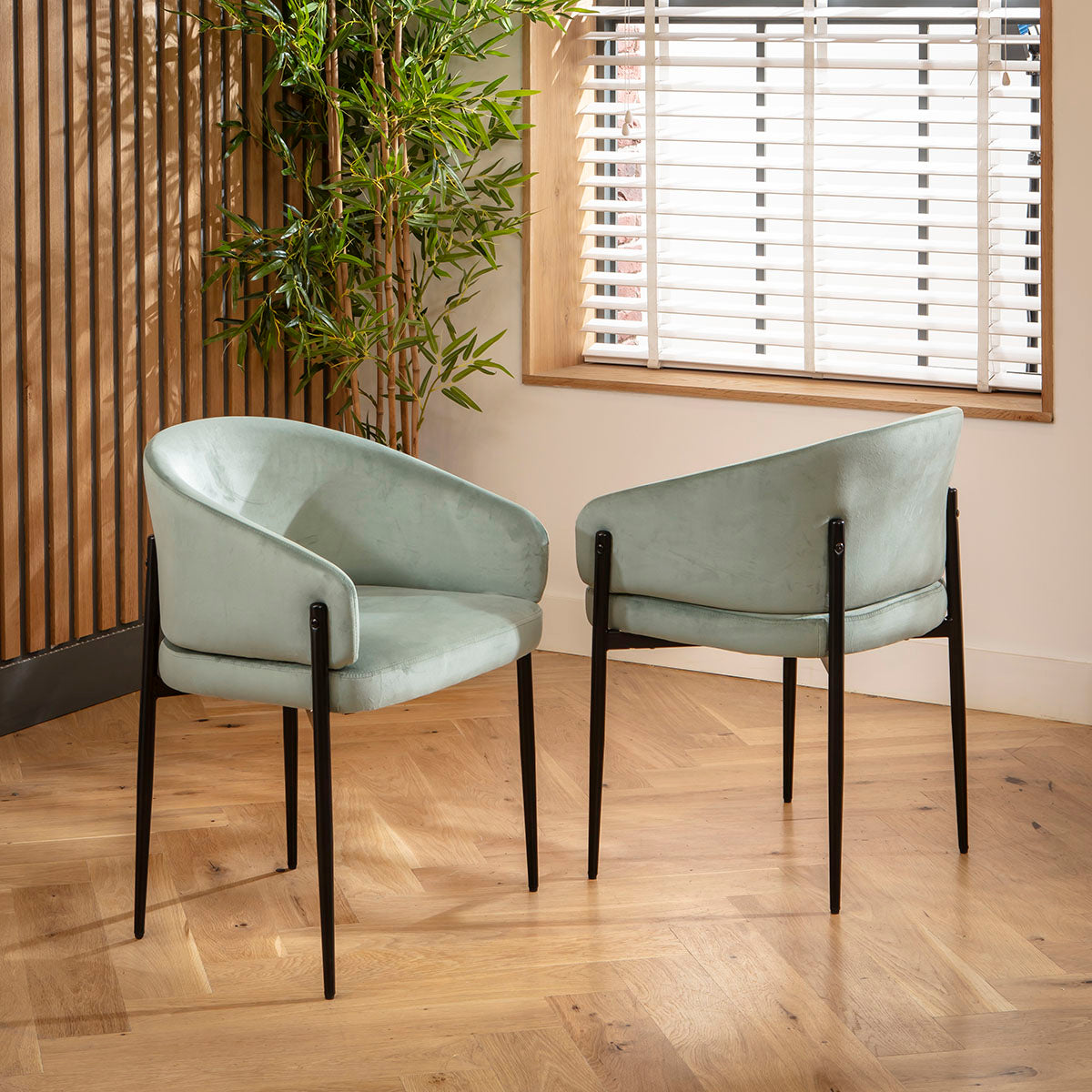 Loki Velvet Carver Dining Chair Green dining chair Such Comfort