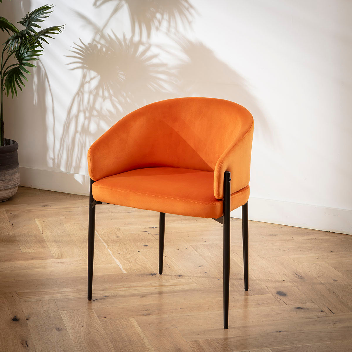 Loki Velvet Carver Dining Chair Burnt Orange dining chair Such Comfort