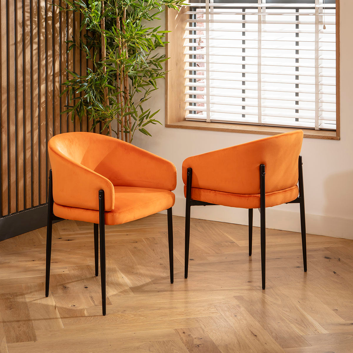 Loki Velvet Carver Dining Chair Burnt Orange dining chair Such Comfort