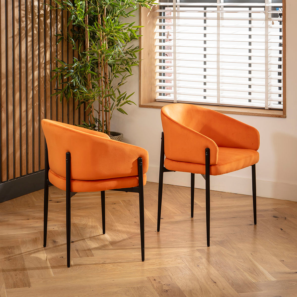 Loki Velvet Carver Dining Chair Burnt Orange dining chair Such Comfort