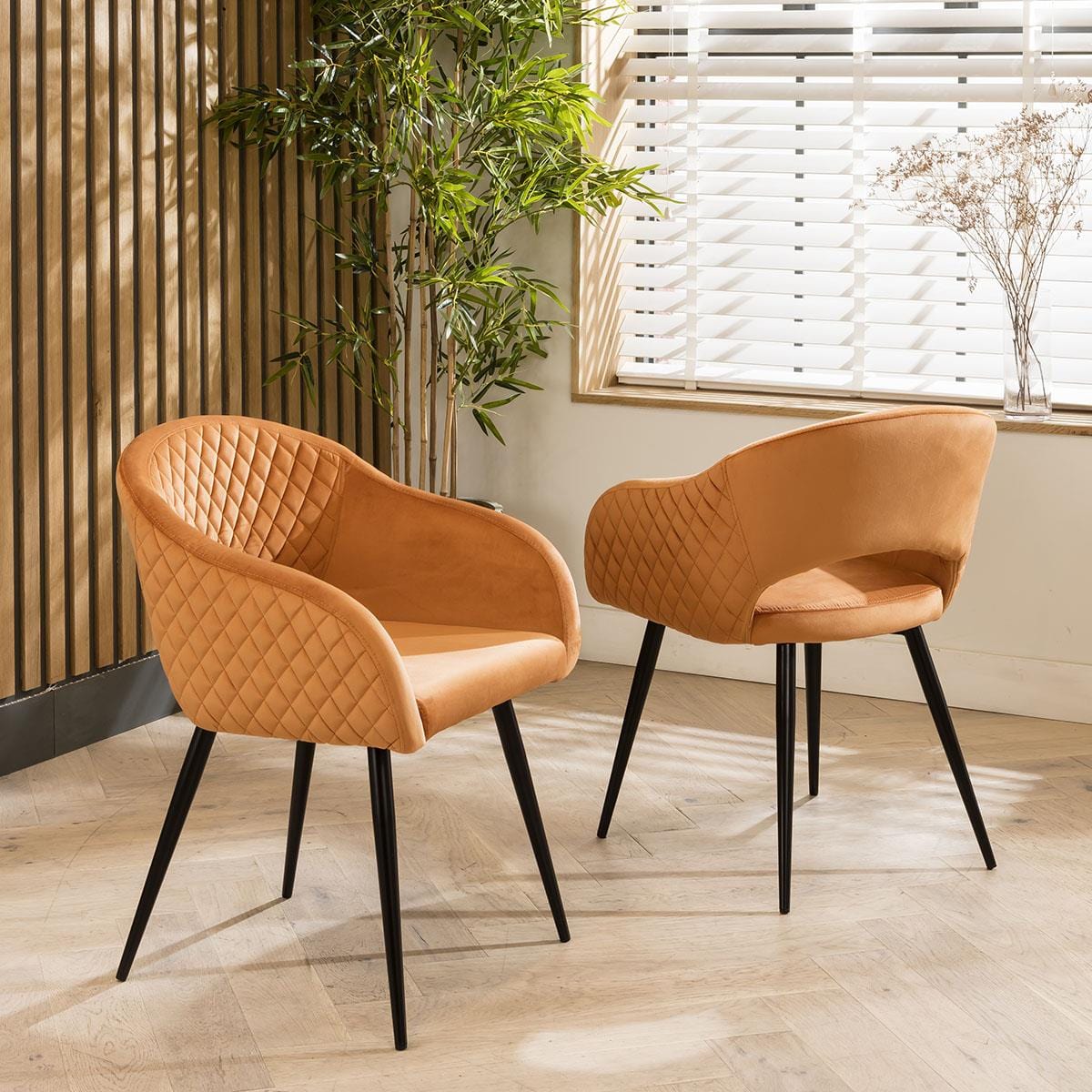 Lucy Velvet Carver Dining Chair with Arms Orange