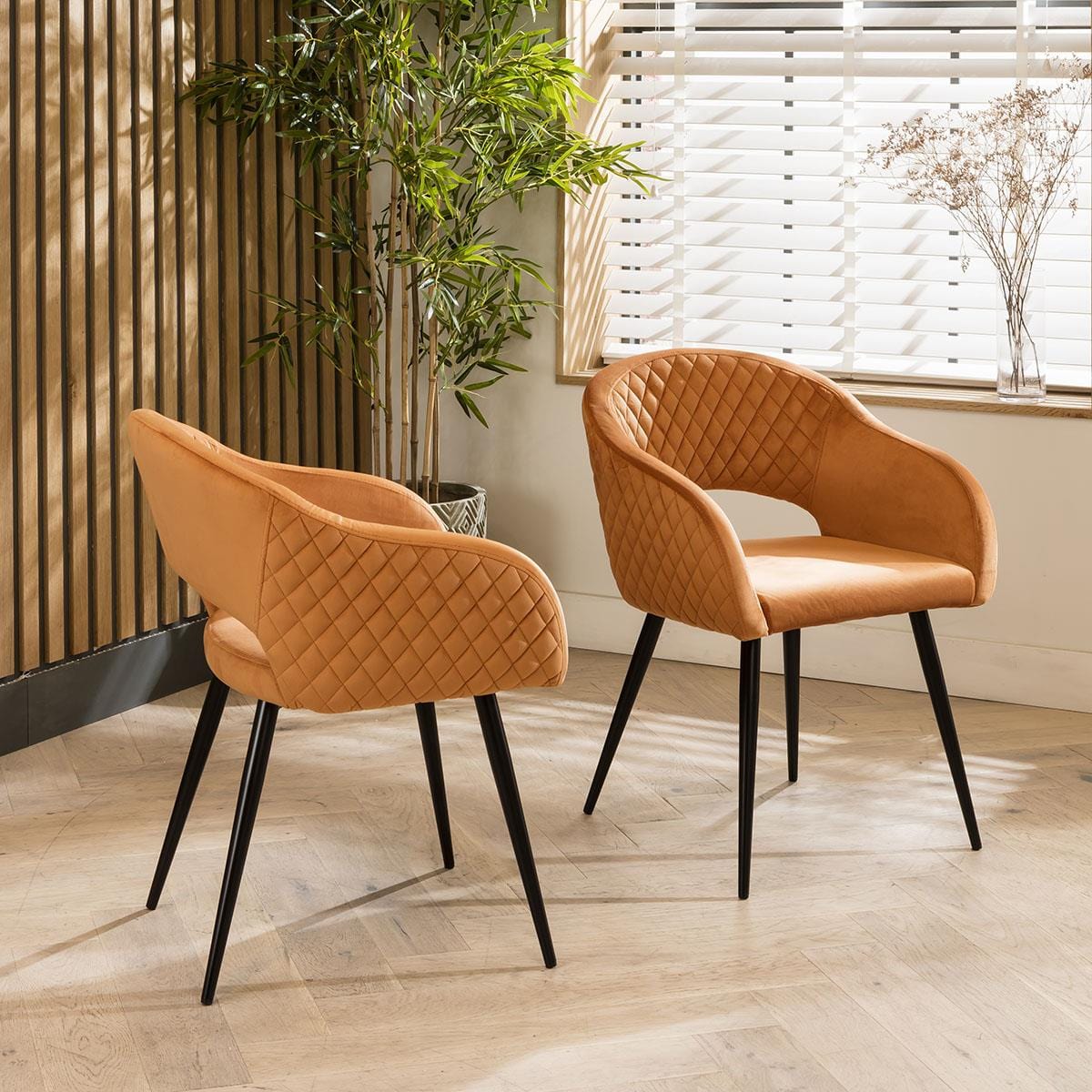Lucy Velvet Carver Dining Chair with Arms Orange