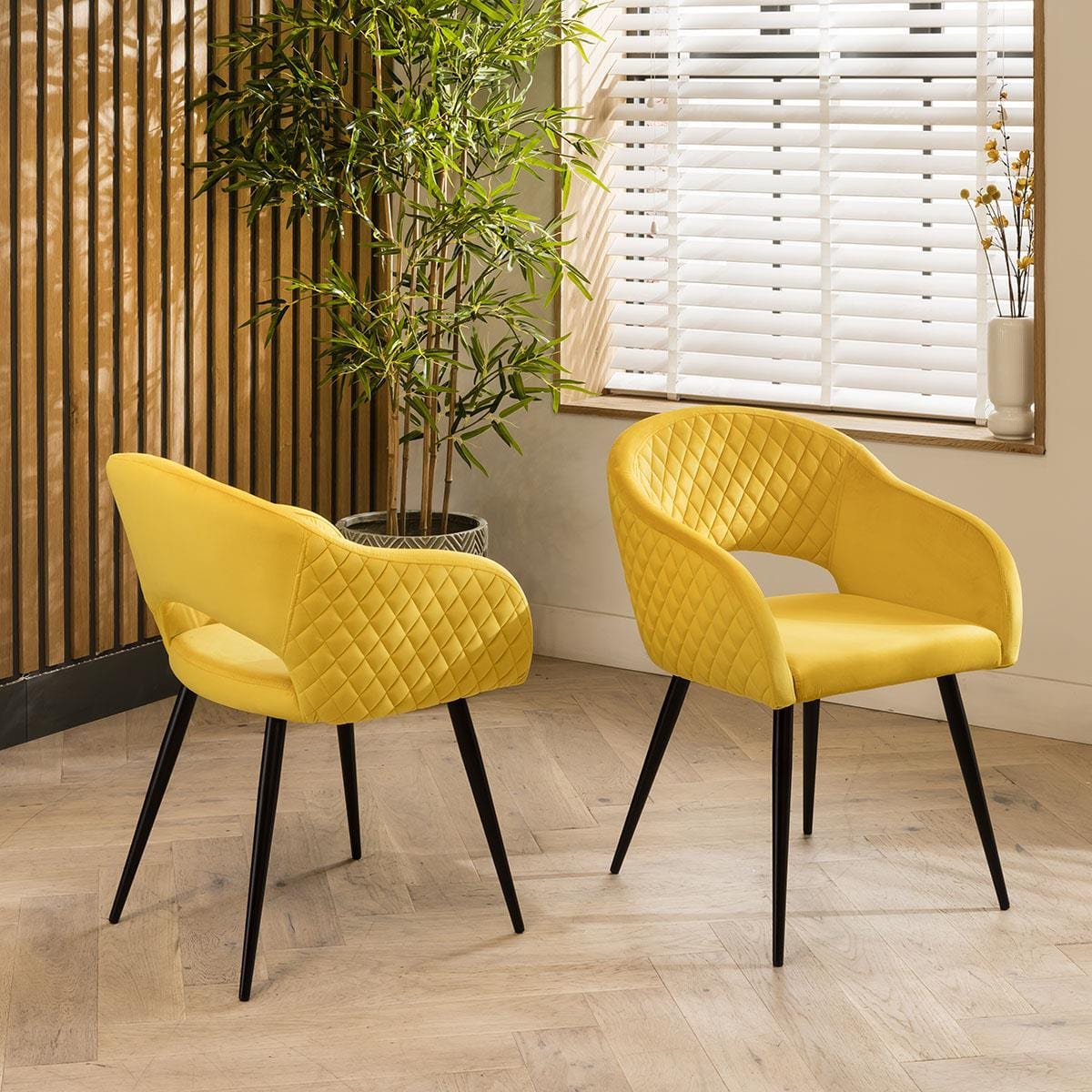 Lucy Velvet Carver Dining Chair with Arms Yellow