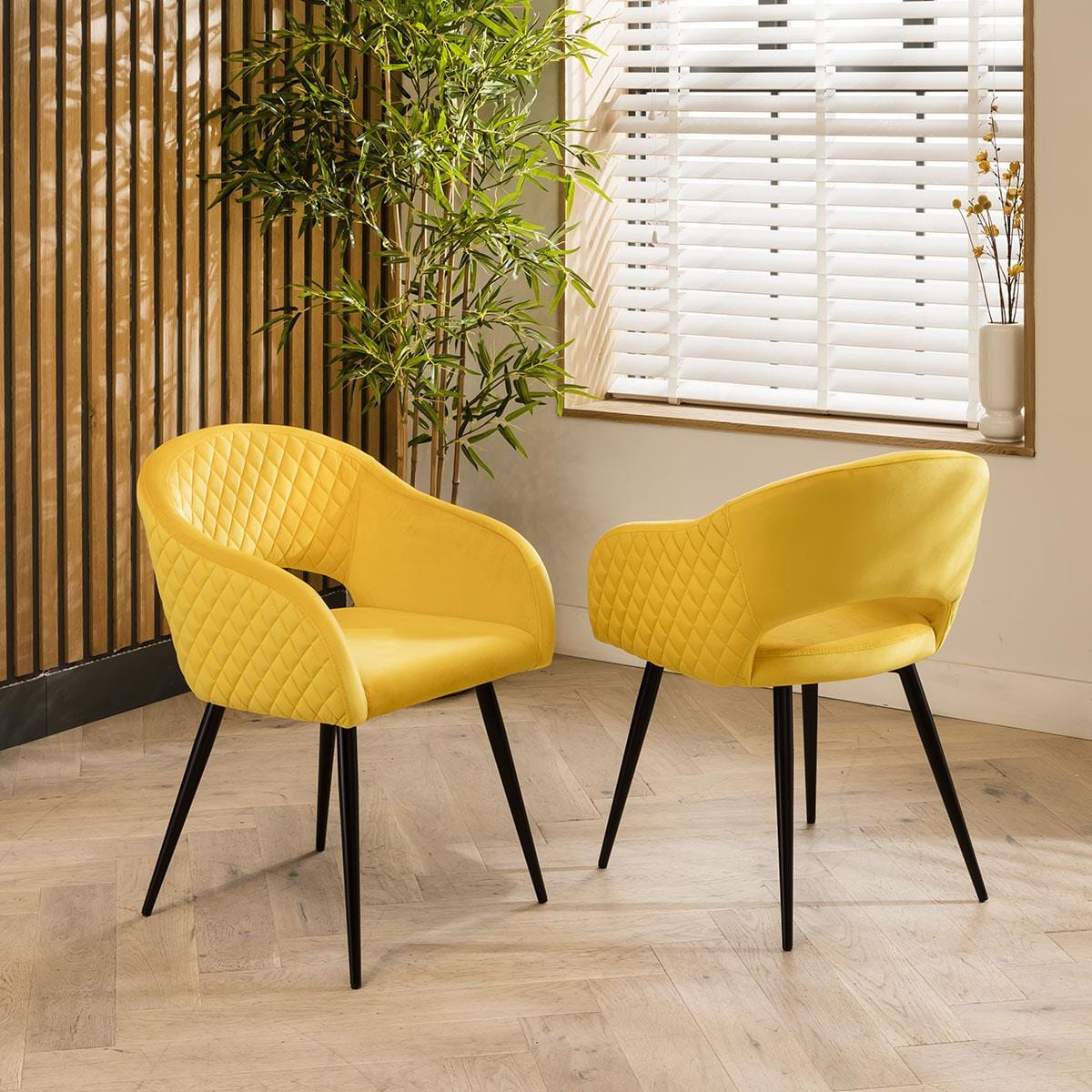 Lucy Velvet Carver Dining Chair with Arms Yellow